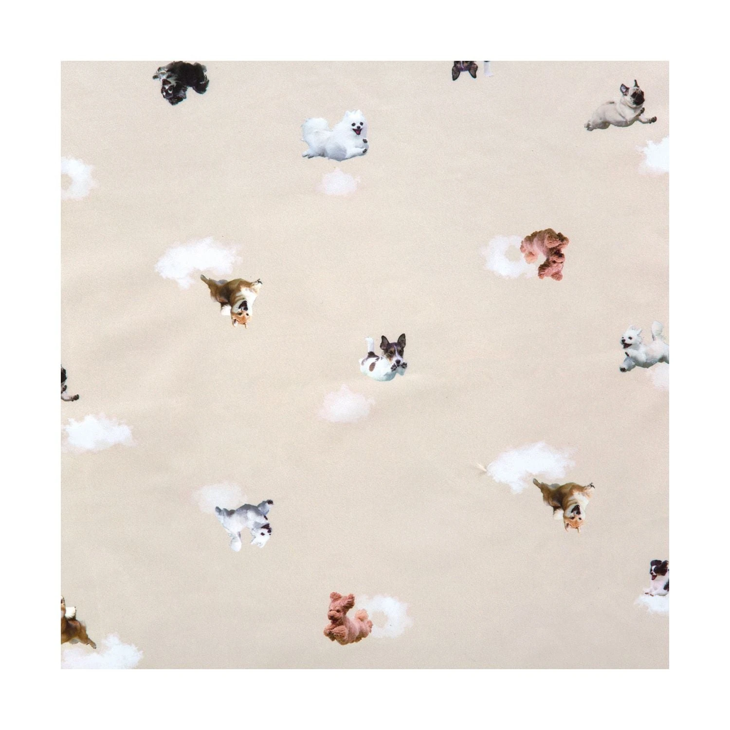 WPC Hikouken UV Protection UPF 50+ Umbrella 47cm 3 WPC Hikouken UV Protection UPF 50+ Umbrella 47cm - Image 3