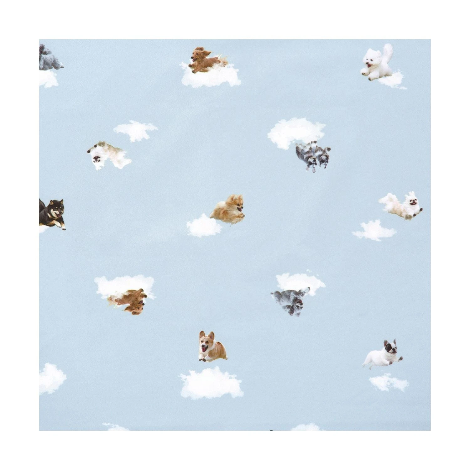 WPC Hikouken UV Protection UPF 50+ Umbrella 47cm 6 WPC Hikouken UV Protection UPF 50+ Umbrella 47cm - Image 6